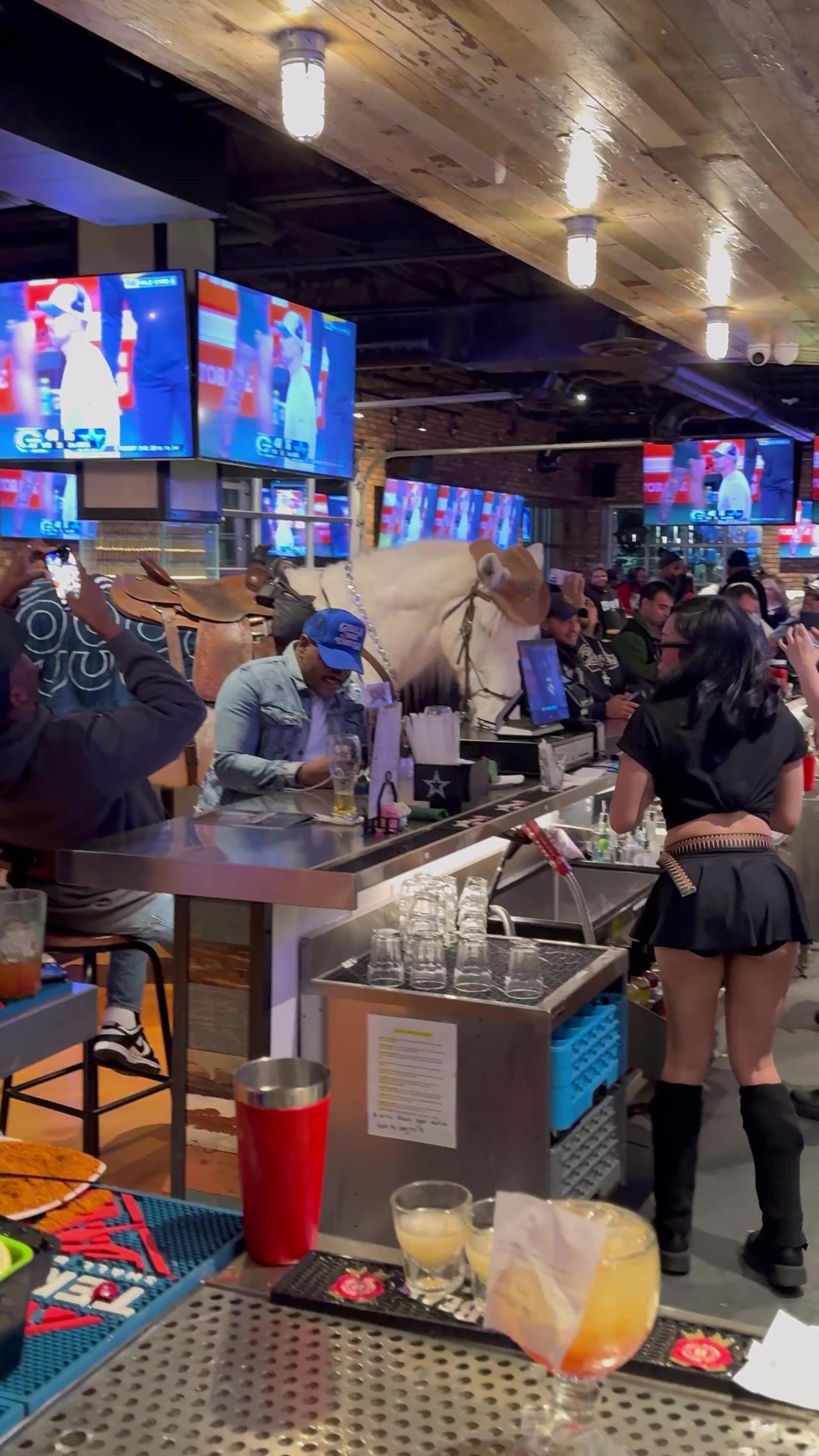 Horse Walks Into a Bar in Texas