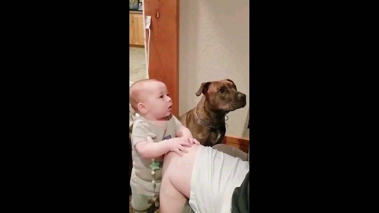 Giggles and Wiggles: Adorable Baby and Dog Funny Moments!