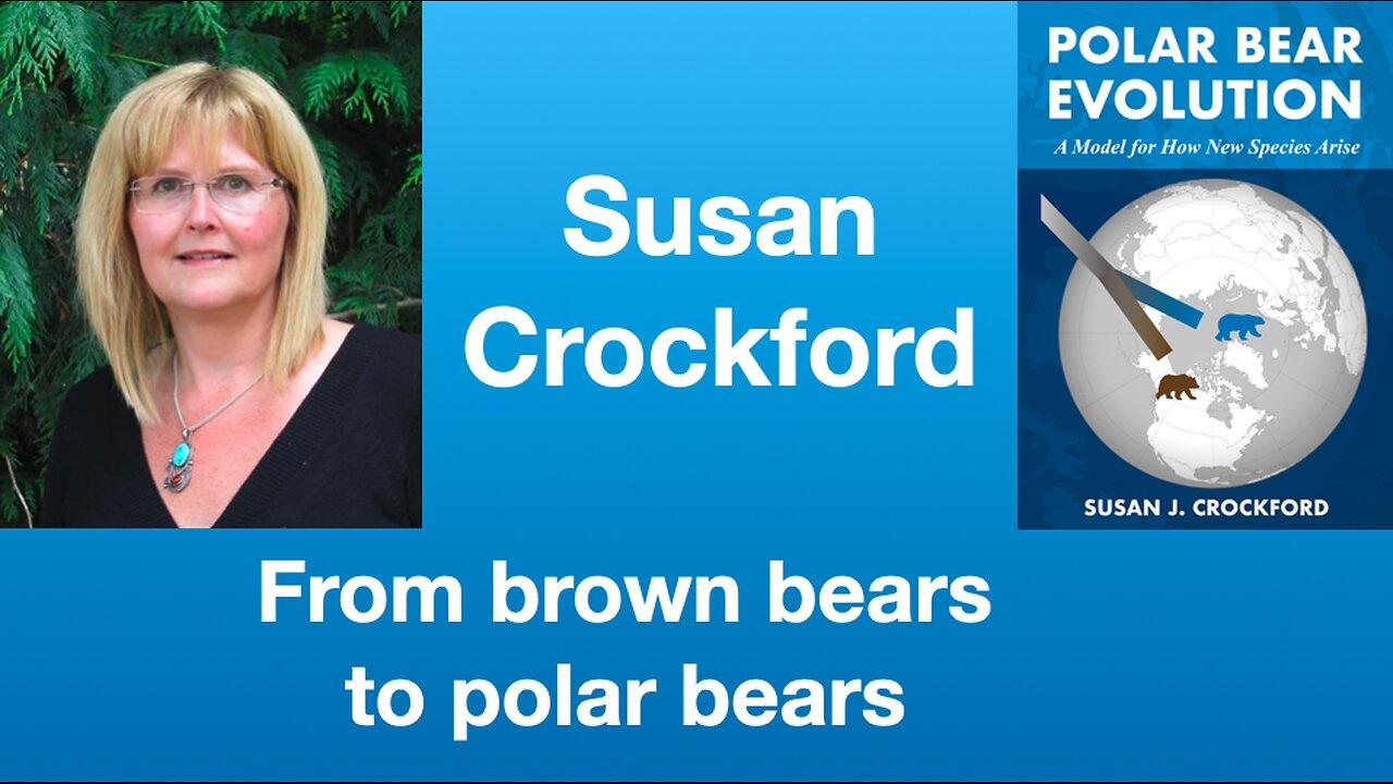 Susan Crockford: Failed polar bear narrative; also their origin/evolution | Tom Nelson Pod #187
