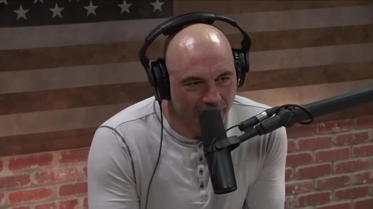 Joe Rogan Experience #1309 - Naval Ravikant