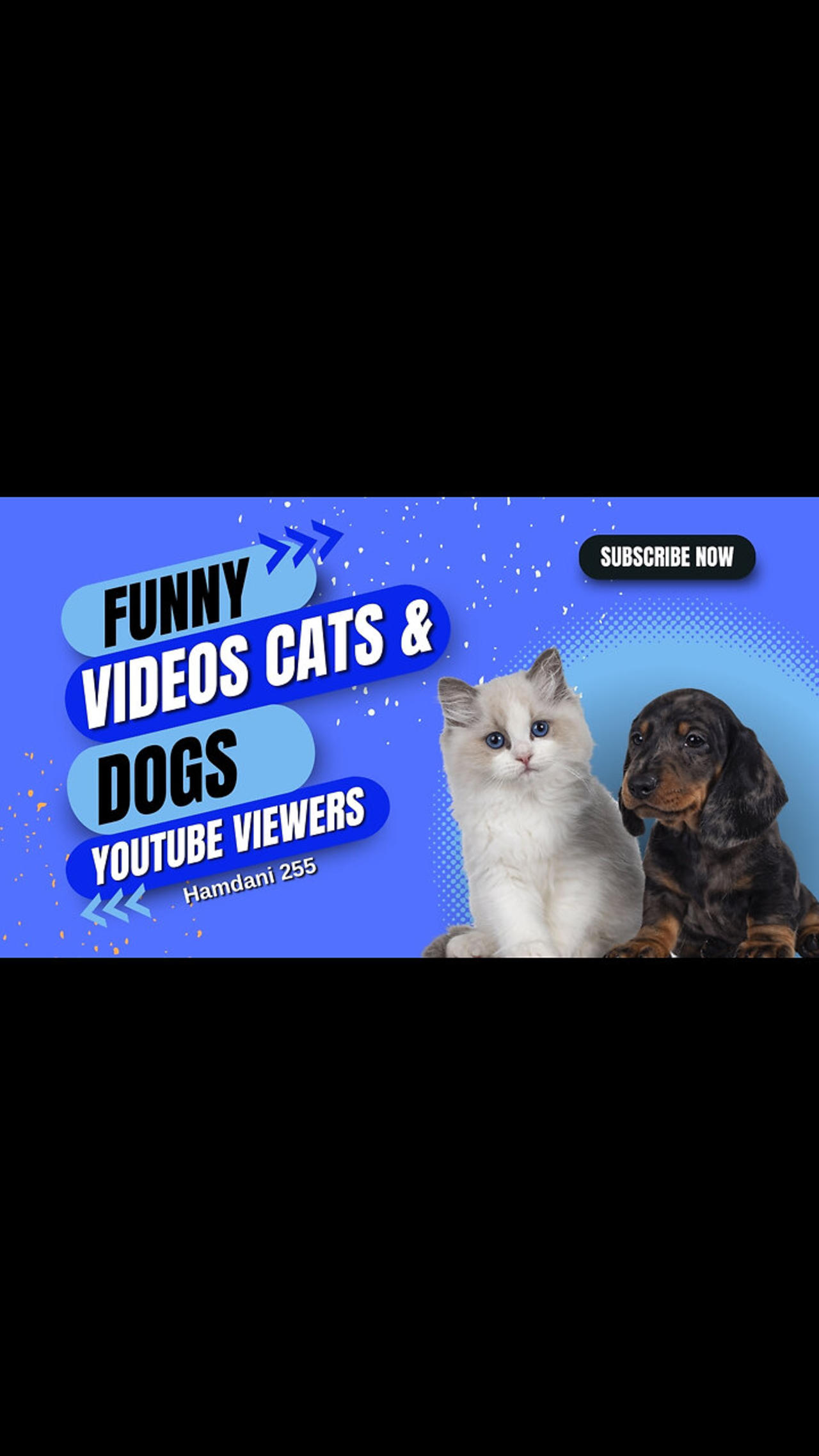 FUNNY CATS and DOGS | New Funniest Cute Animals Videos 2024