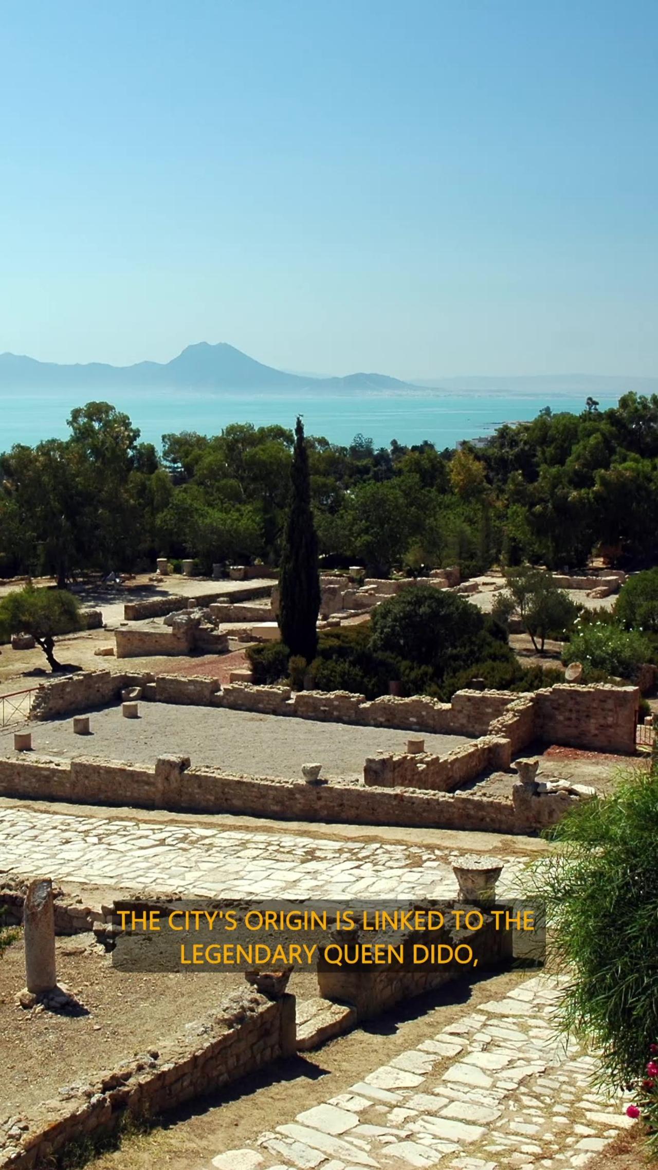 Carthage Thrills: Discover Tunisia's Past!