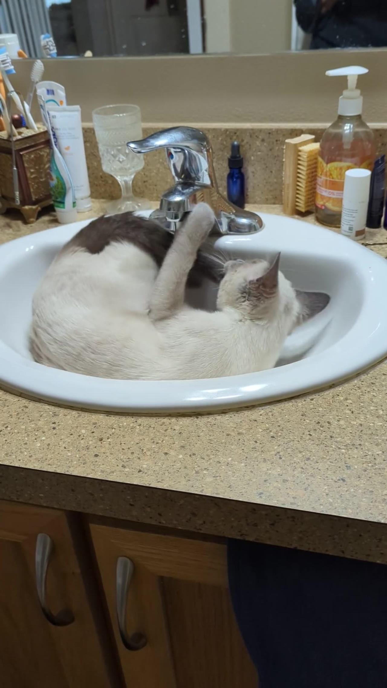 Yuri In The Sink
