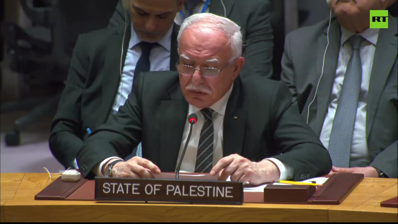 Israel denies the existence and the rights of Palestinians – Palestine's FM