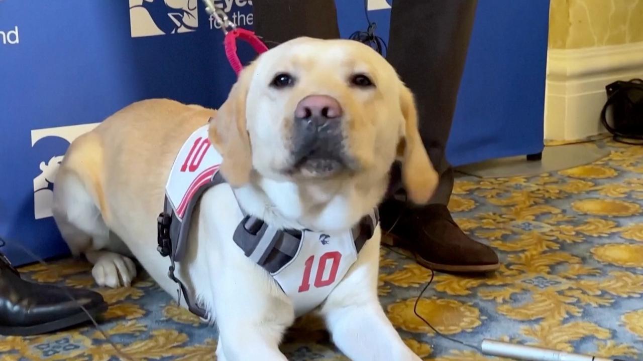 Super Bowl Champion Celebrates Honorary Dog’s New Home For a Cause