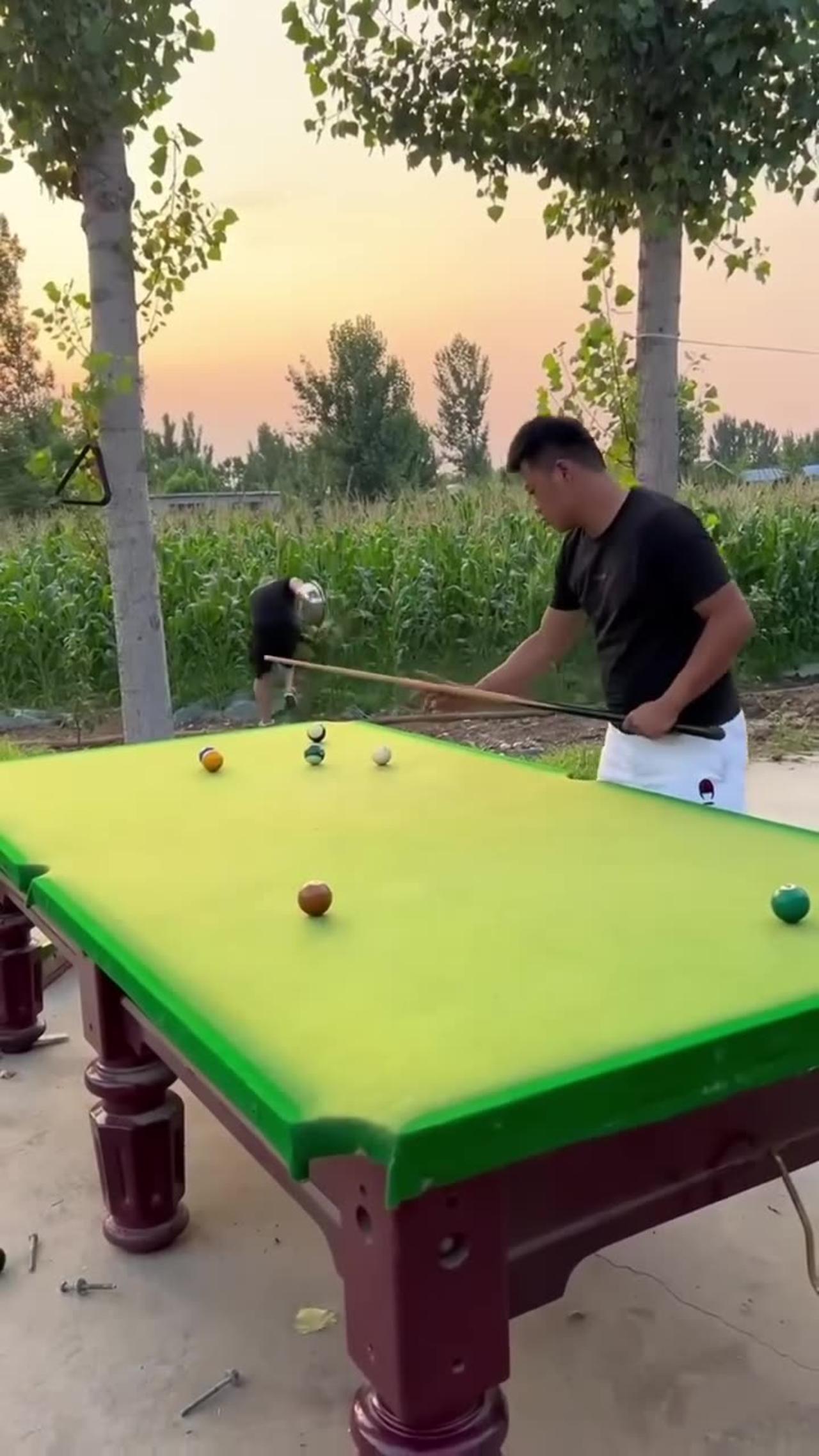 Funny Billiard One News Page Video