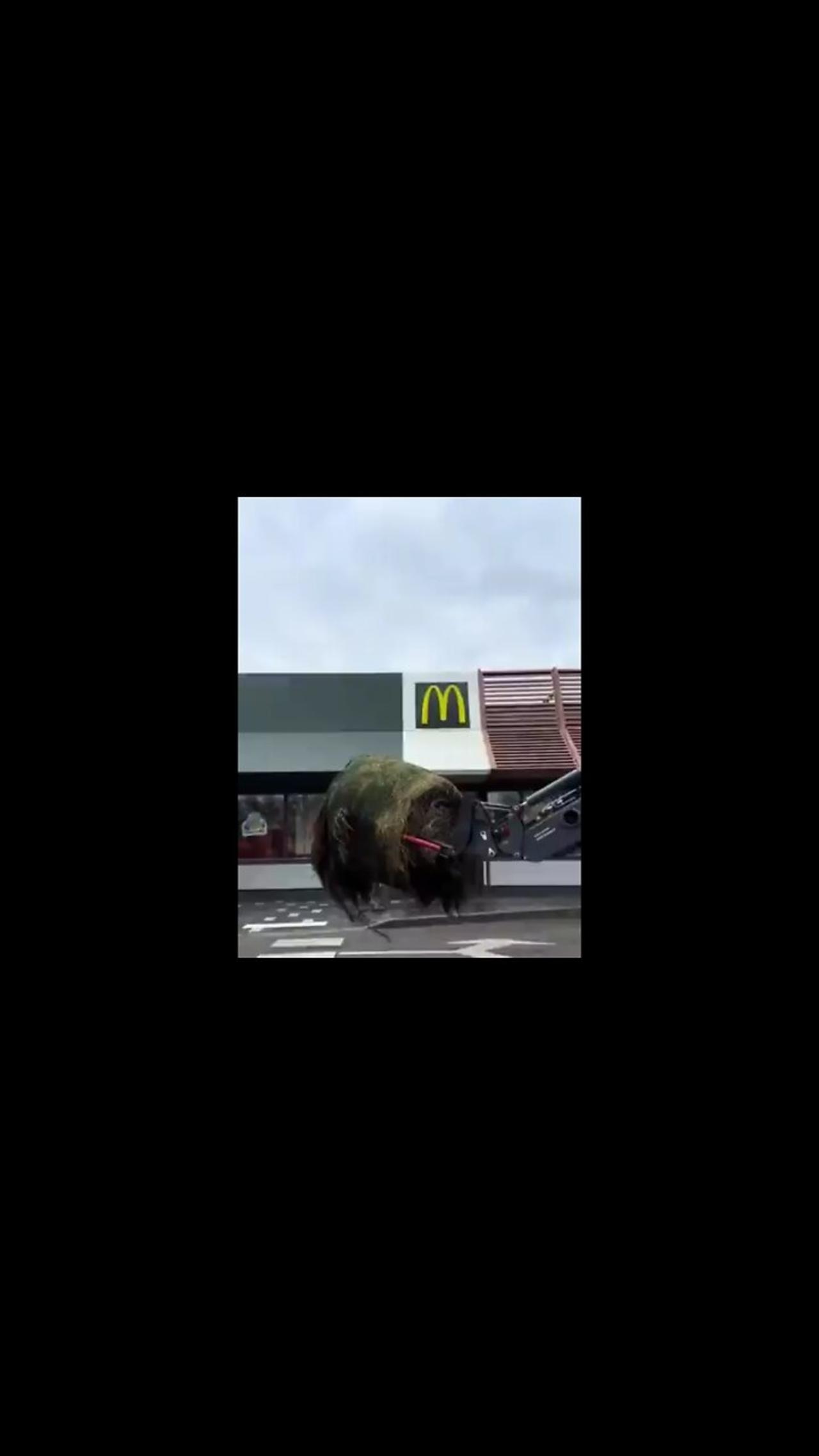 FR: Farmers Provide The Golden Arches Their Latest Delivery