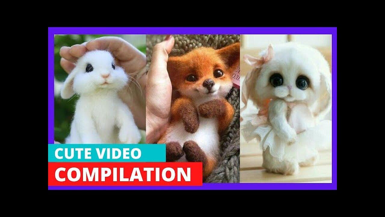Funny Animals Doing Funny Things #11 | Funny animal videos | Animal Things