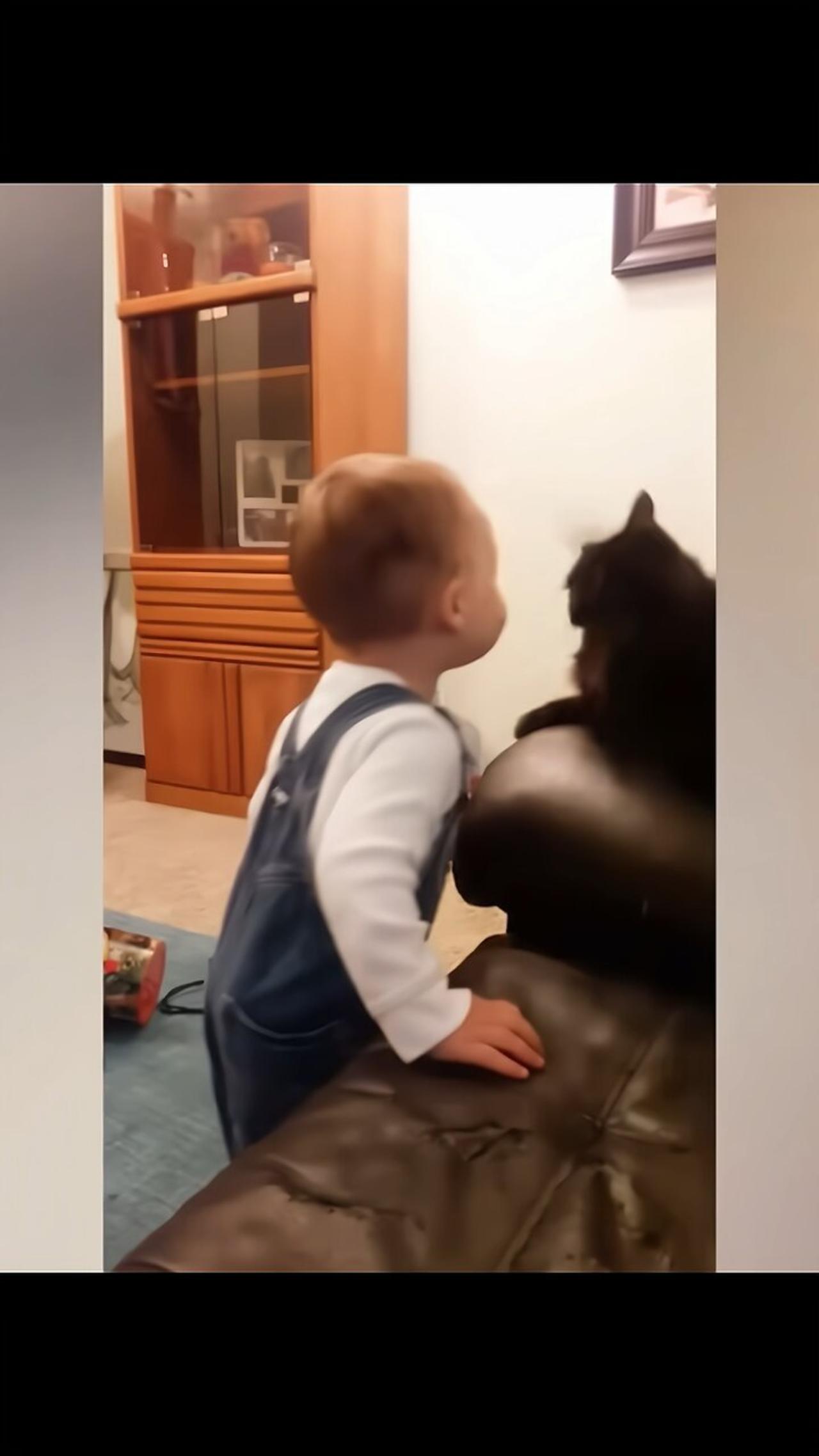 Cats and babies 🥹🤣