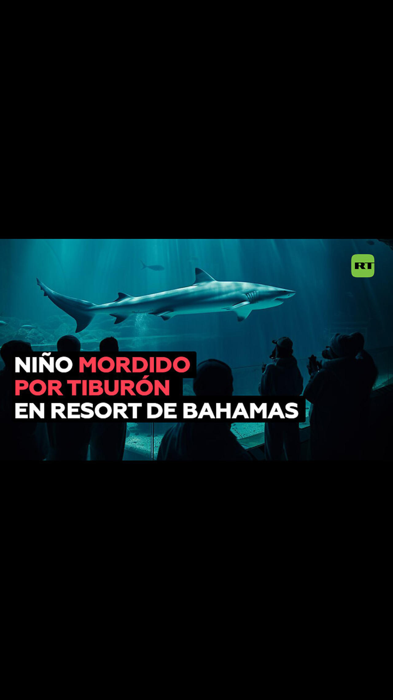 Un tiburón muerde a un niño en un resort de las Bahamas