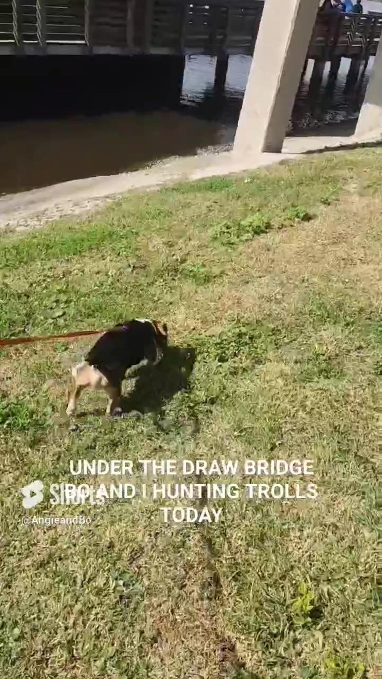 Hunting Trolls Under the draw bridge