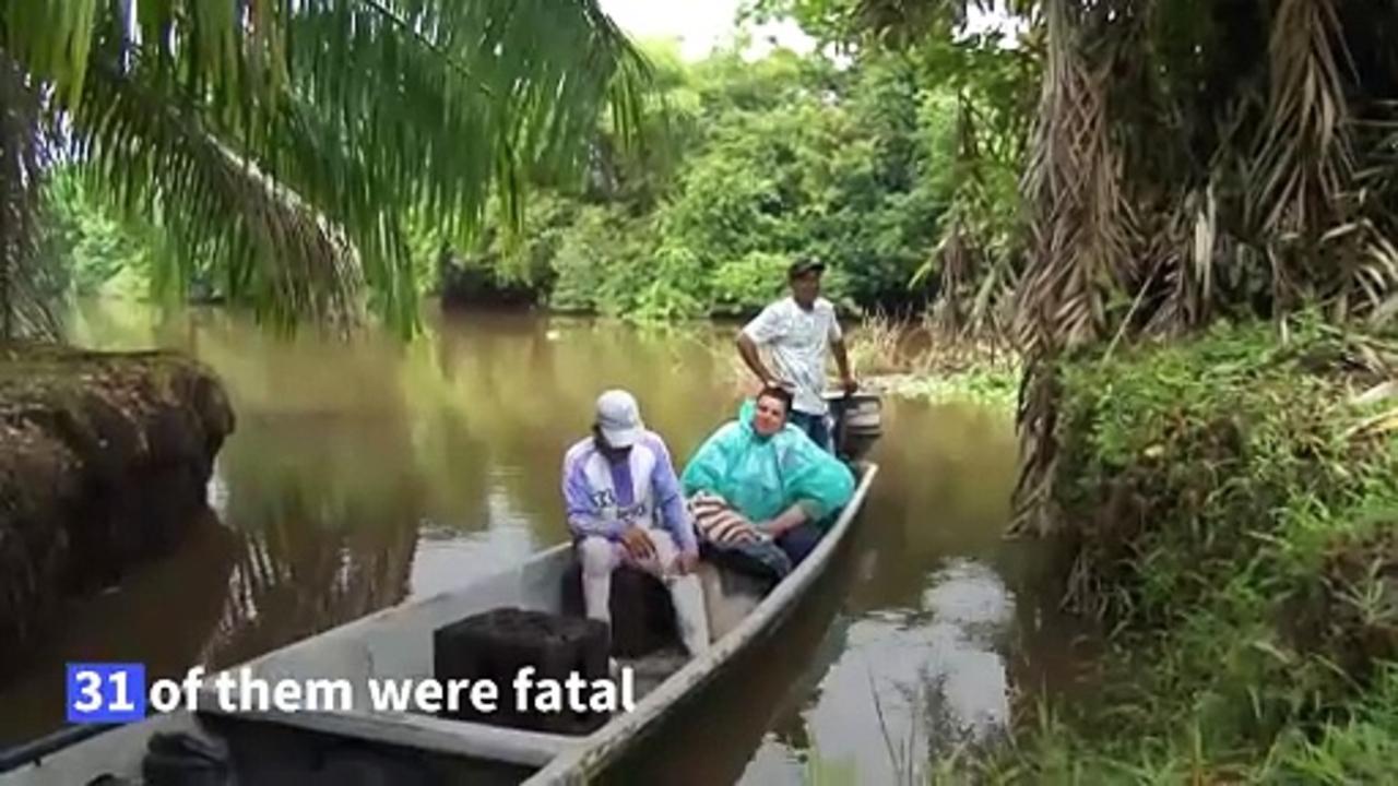Fishermen watch over endangered manatees in Colombia
