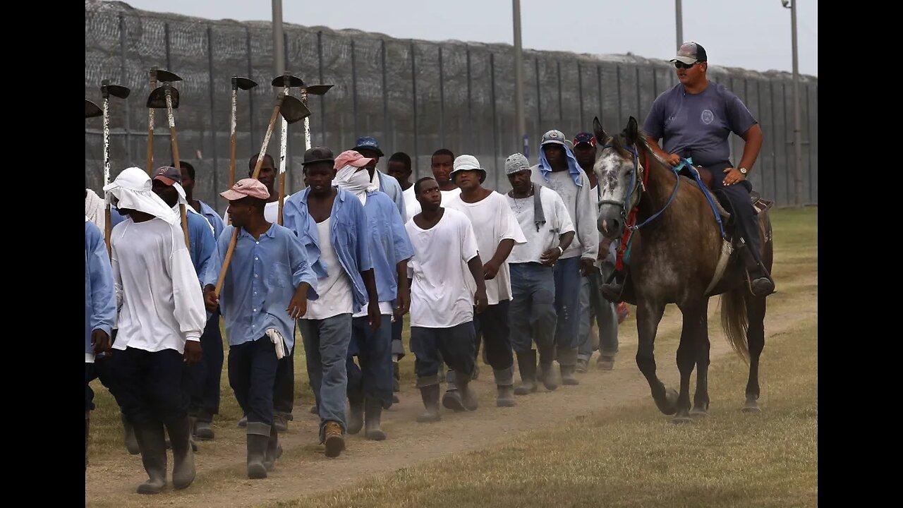 News-Unveiling the Hidden Workforce: US Prison Labor in Food Industry