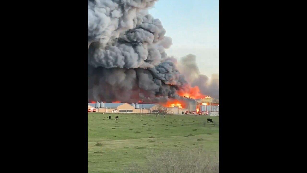 Massive Fire At Chicken Farm in Texas
