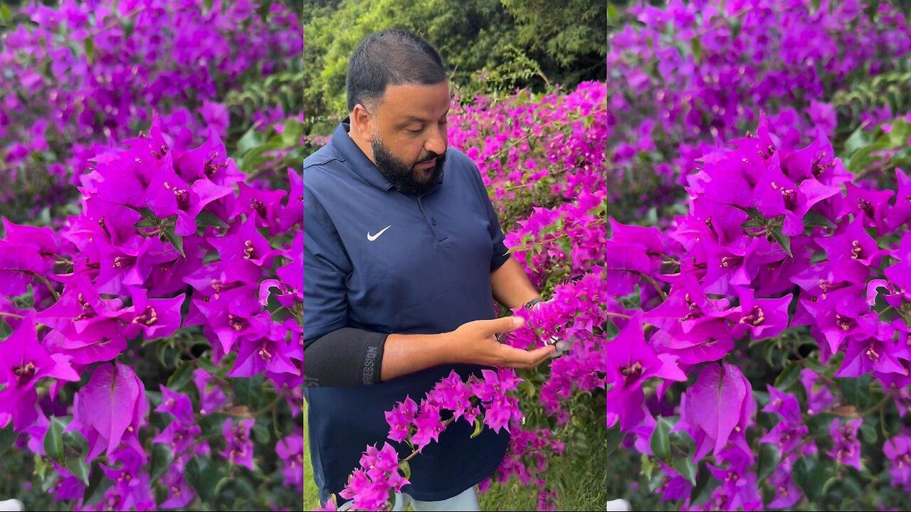 DJ Khaled Reveals the Magic Behind His Chosen Flower