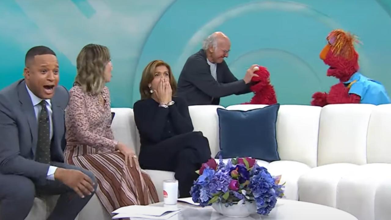 Elmo Attacked by Larry David During 'Today' Appearance | THR News Video