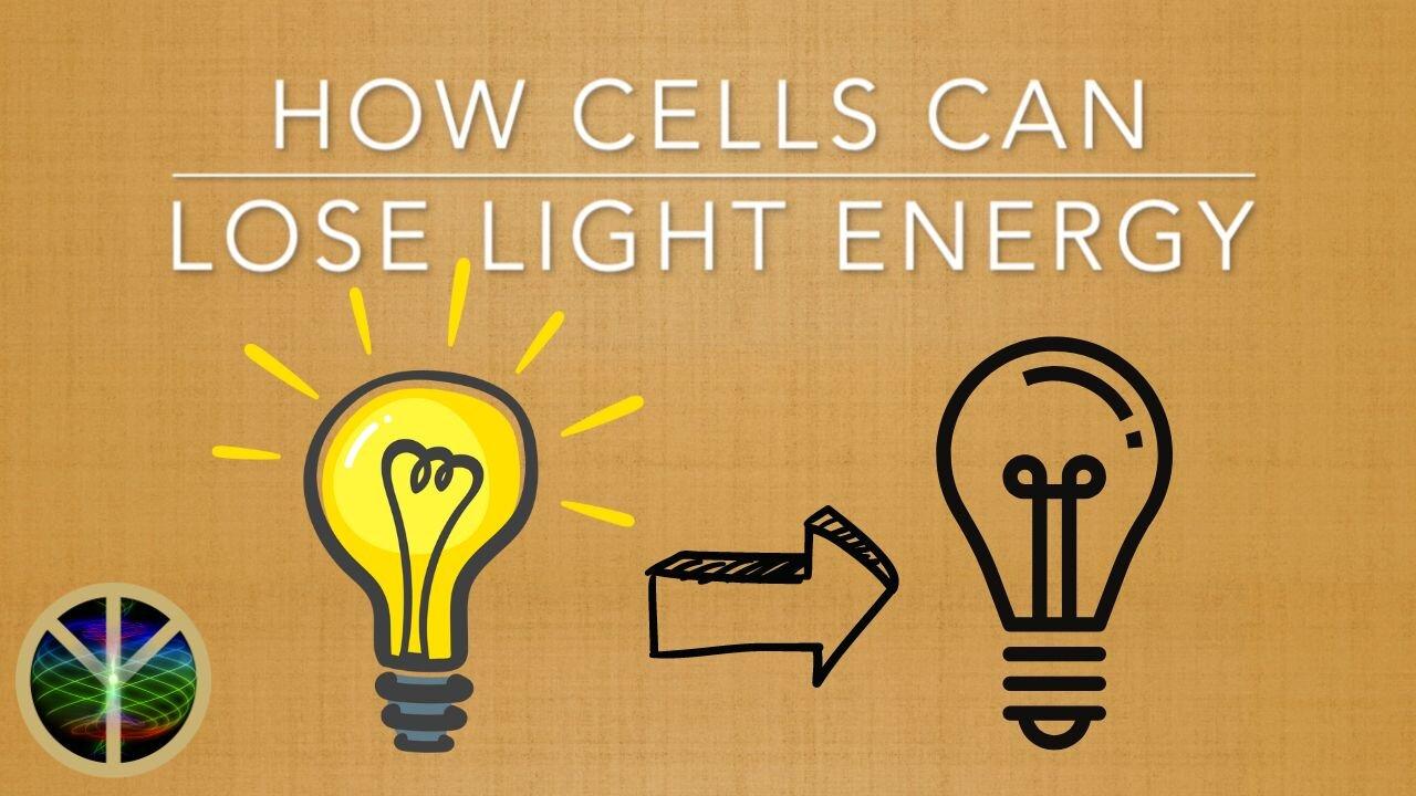 How Cells Can Lose Light Energy