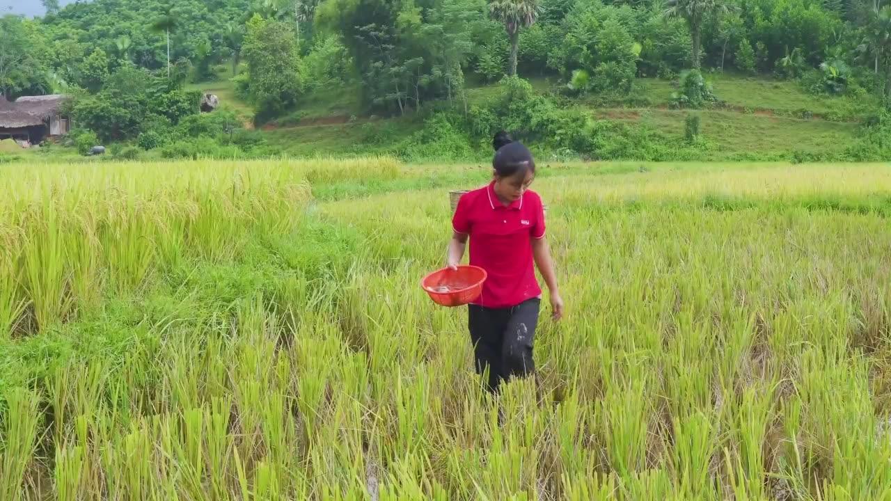 From Stream to Table | Fishing and Culinary Traditions in the Village