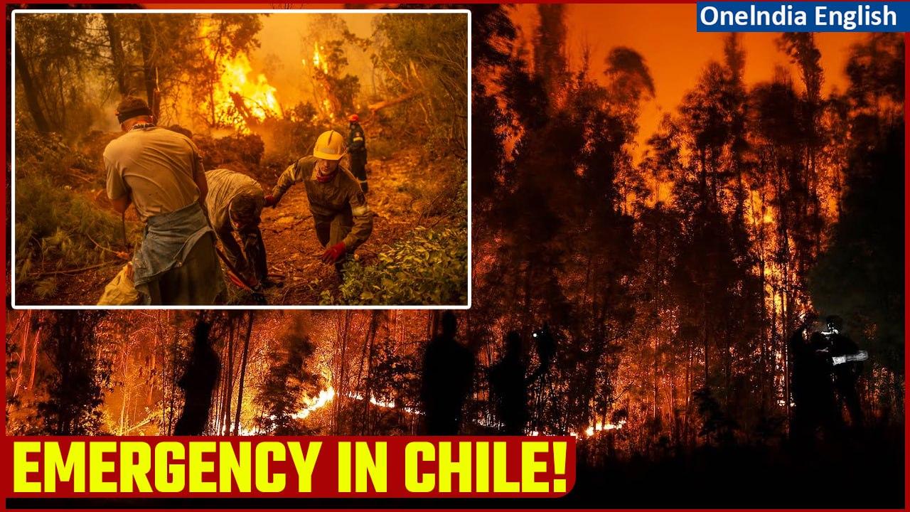Chile Announces State of Emergency as Escalating Forest Fires Claims Ten Lives | Oneindia News