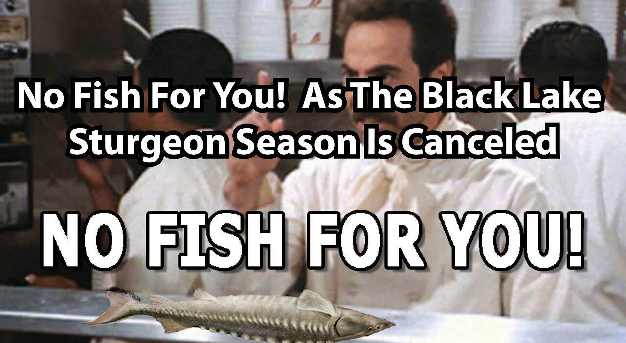 No Fish For You!  As The Black Lake Sturgeon Season Is Canceled
