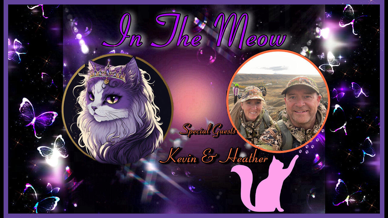 In The Meow | With Special Guests Kevin and Heather Wilson