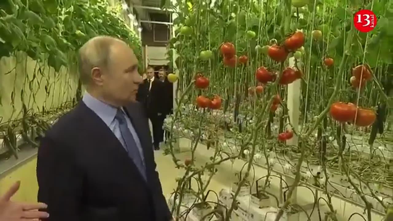 Vladimir Putin visits Russia Far Eastern Chukotka Region