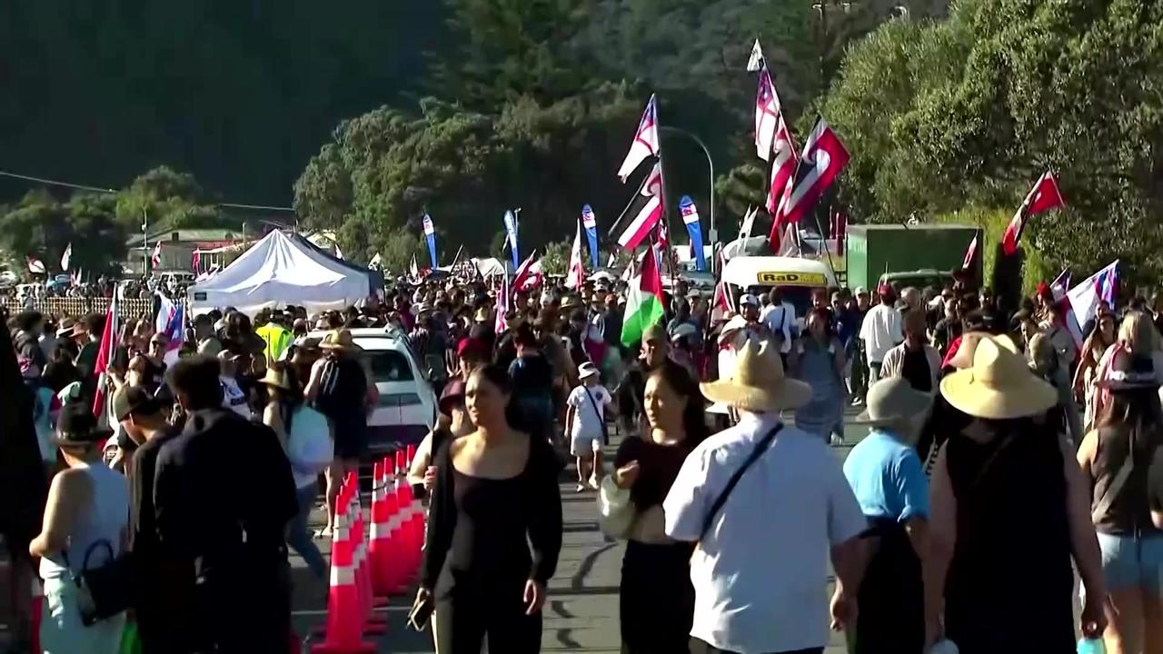 New Zealand protesters march on Waitangi Day