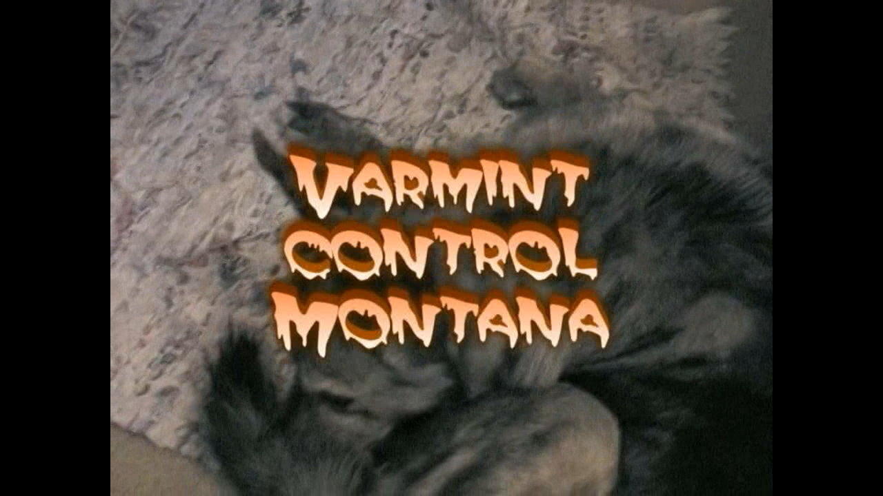 Montana Varmint control