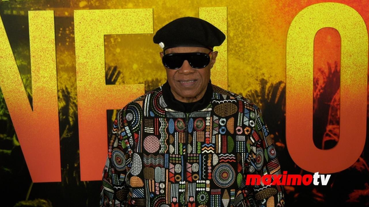 Stevie Wonder 'Bob Marley: One Love' Los Angeles Premiere Black Carpet