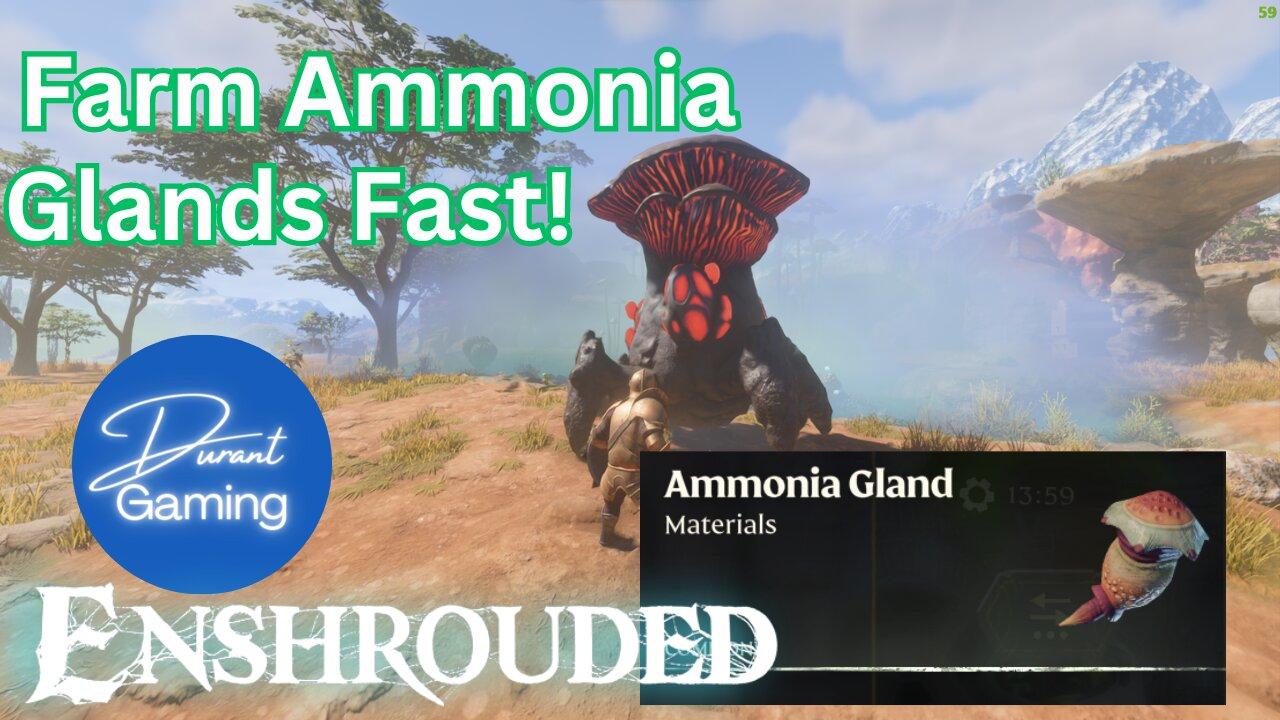 Where to find Ammonia Glands | Enshrouded Tips | Easy Location!