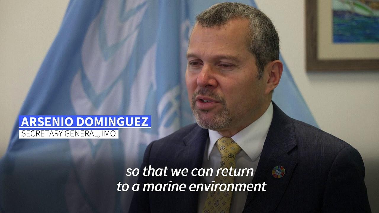 International Maritime Organization chief stresses need for dialogue to resolve Red Sea crisis