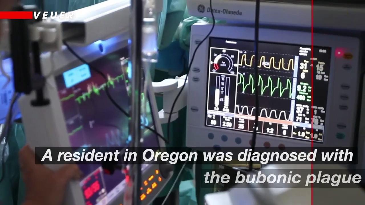 Oregon Reports First Bubonic Plague Case Since 2015