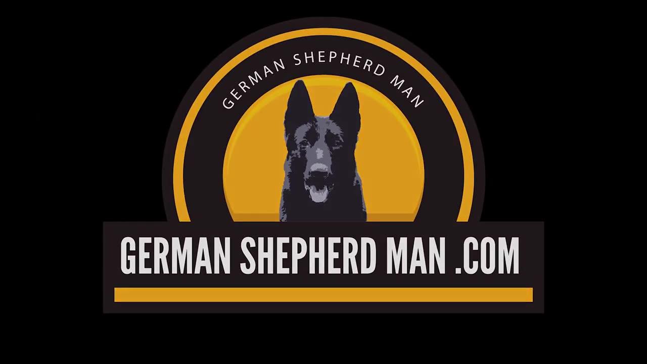 The Difference in Show Line and Working Line German Shepherds with GSM