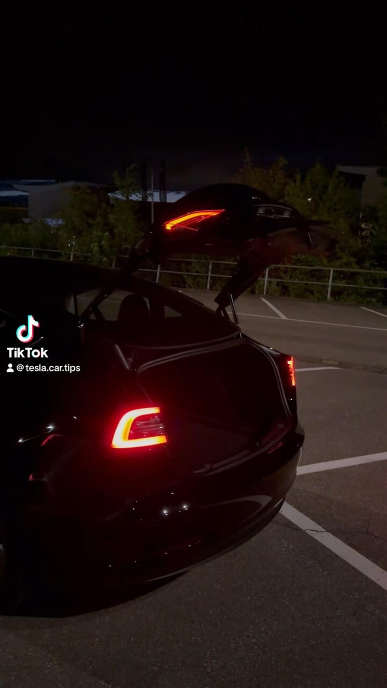 Tesla's Symphony: A Spectacular Light Show Like You've Never Seen Before!💡🔊 #tesla #lightshow