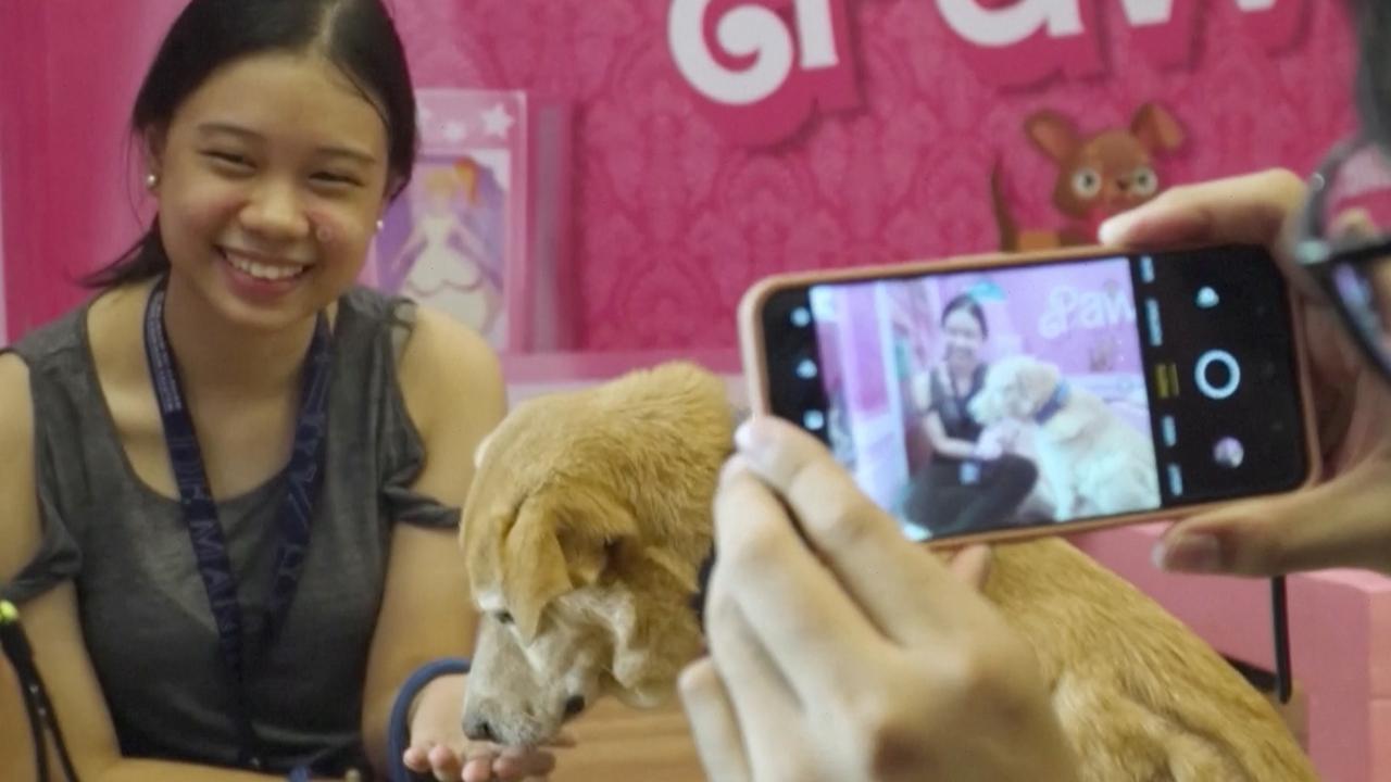 Filipino Pet Lovers Celebrate Valentine's Day with Rescued Animals