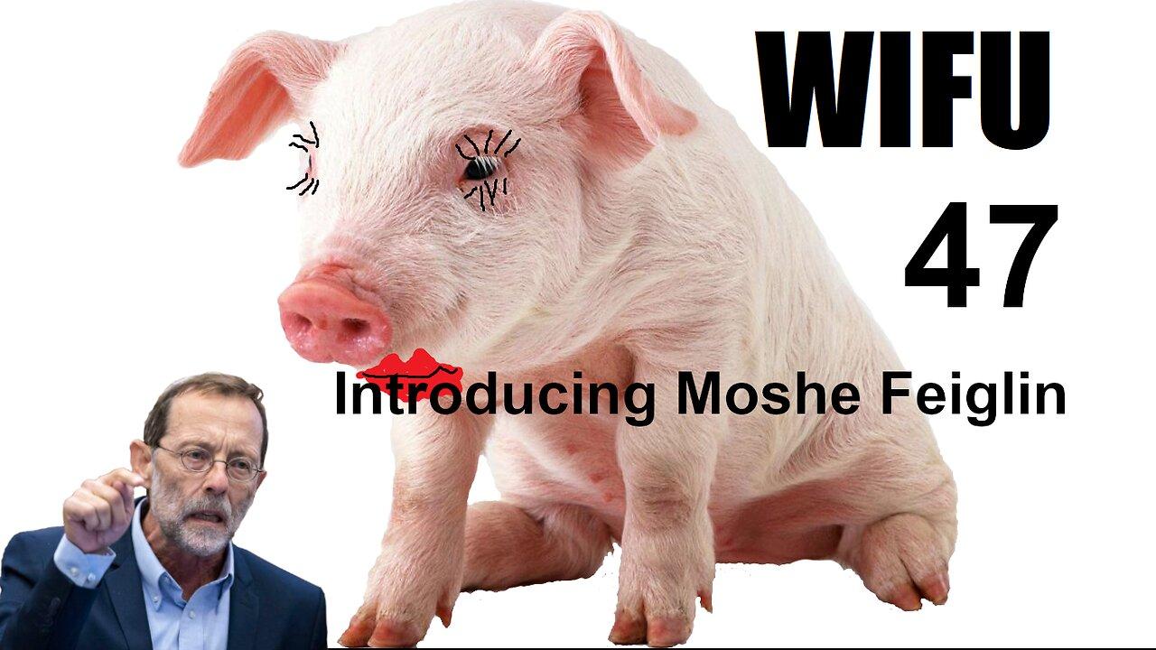 The Wifu Show 47 -- Introducing Moshe Feiglin