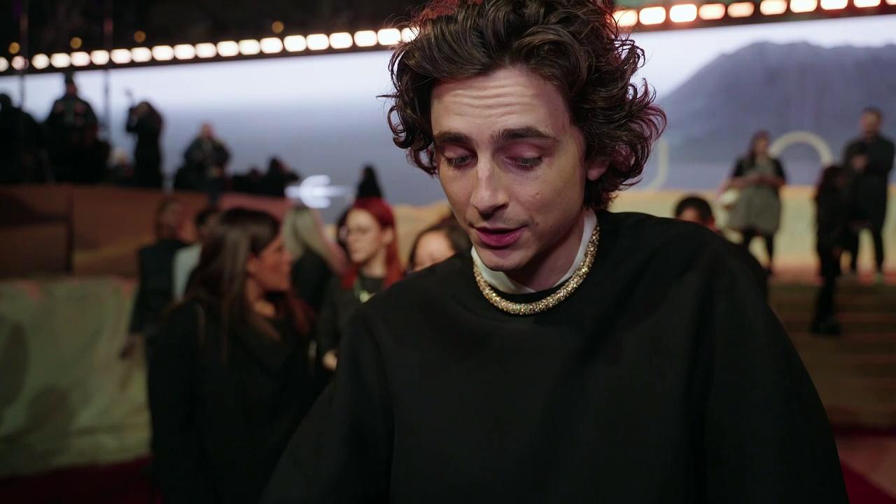 Timothee at Dune 2 Premiere