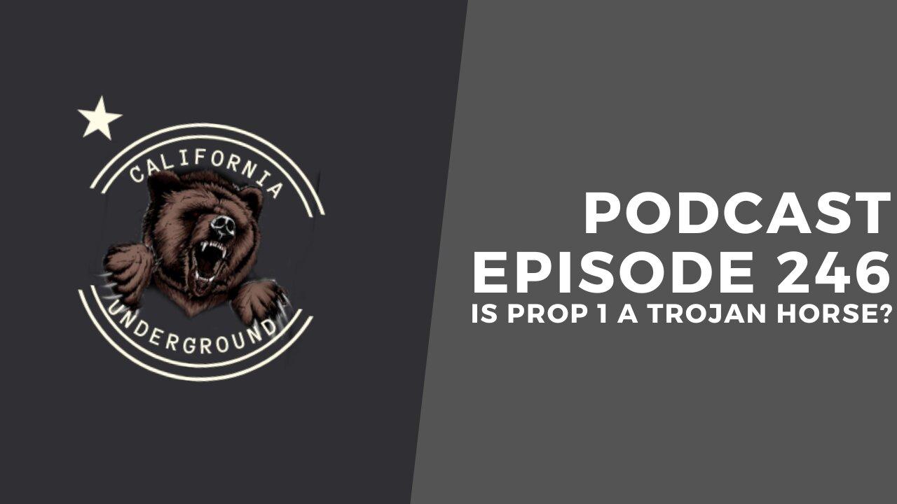 Episode 246 - Is Prop 1 A Trojan Horse?