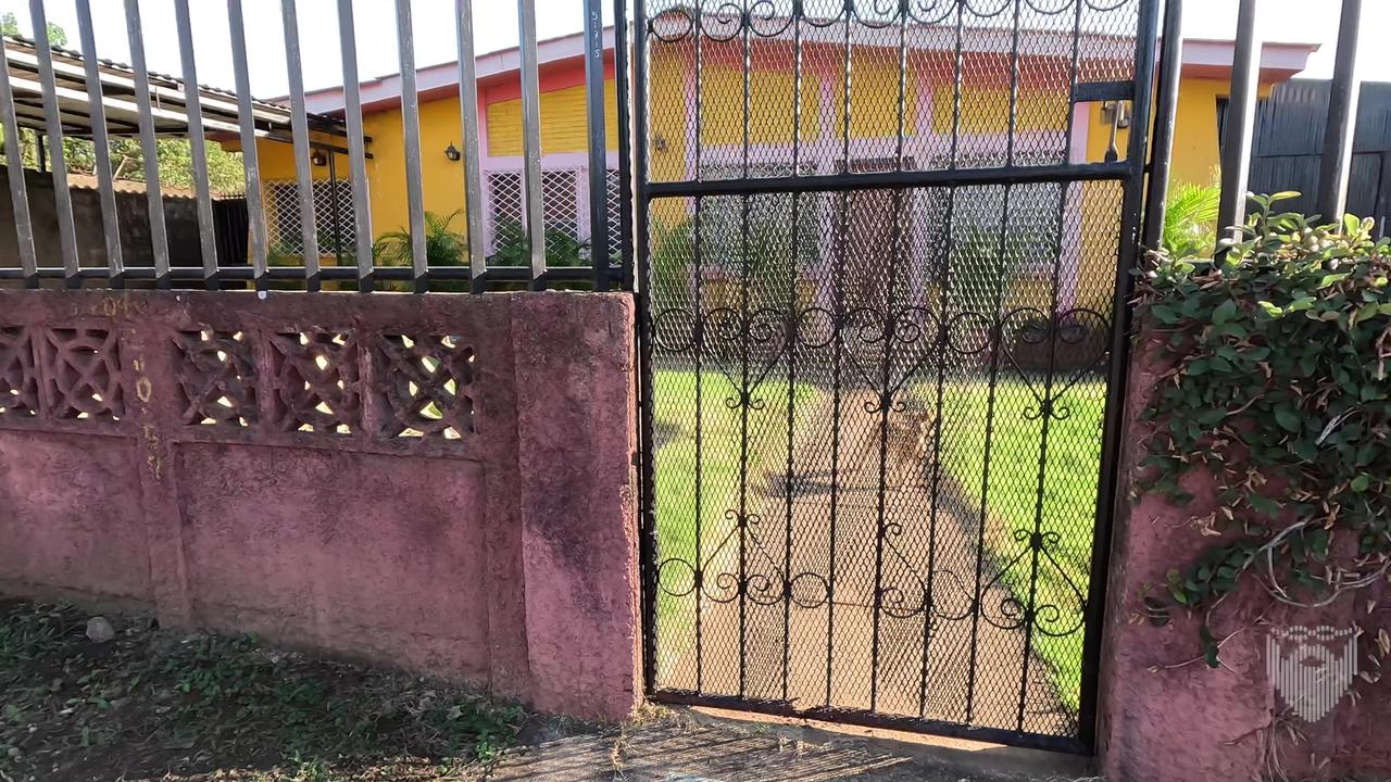 Dangerously Emboldened Expat Business Nicaragua 🇳🇮