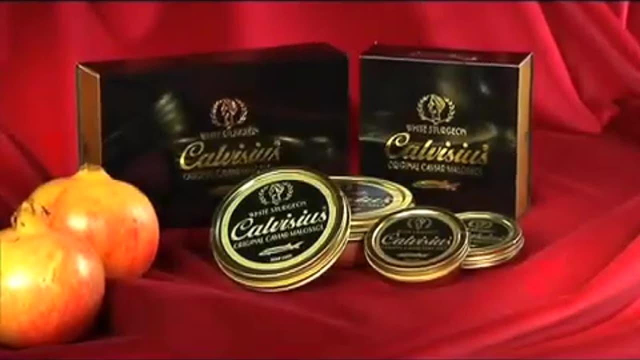 Biggest Sturgeon Farm   Italian Caviar  Calvisius Caviar