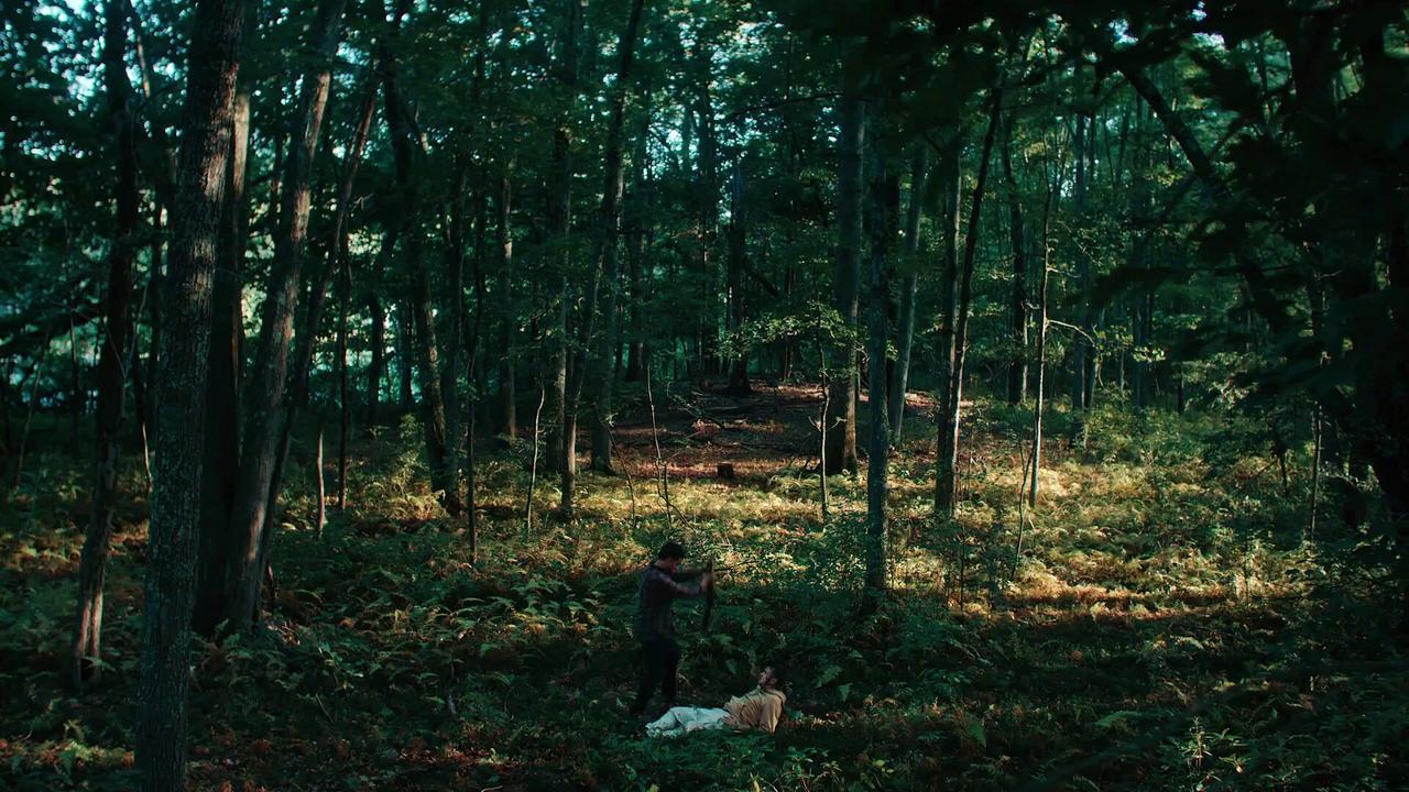 The Woods Are Real Movie