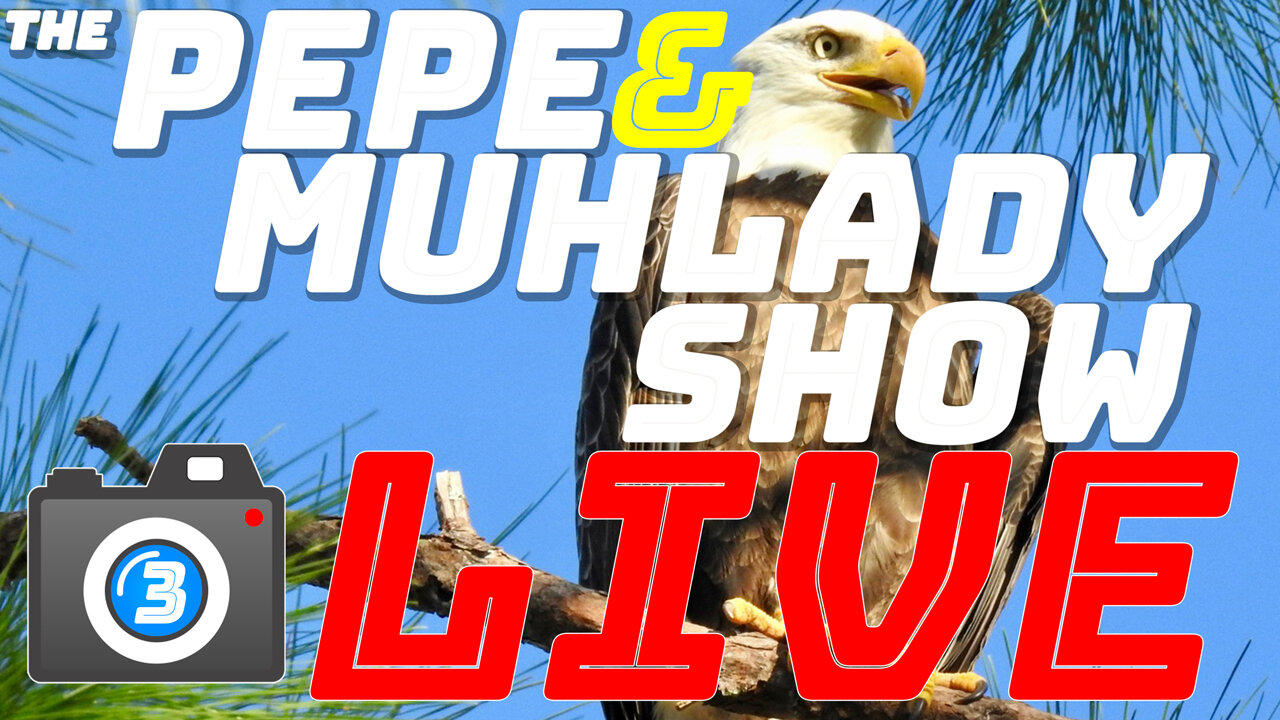Central Florida Bald Eagle Livestream - Pepe & Muhlady! #eagle #sunrise #sunset
