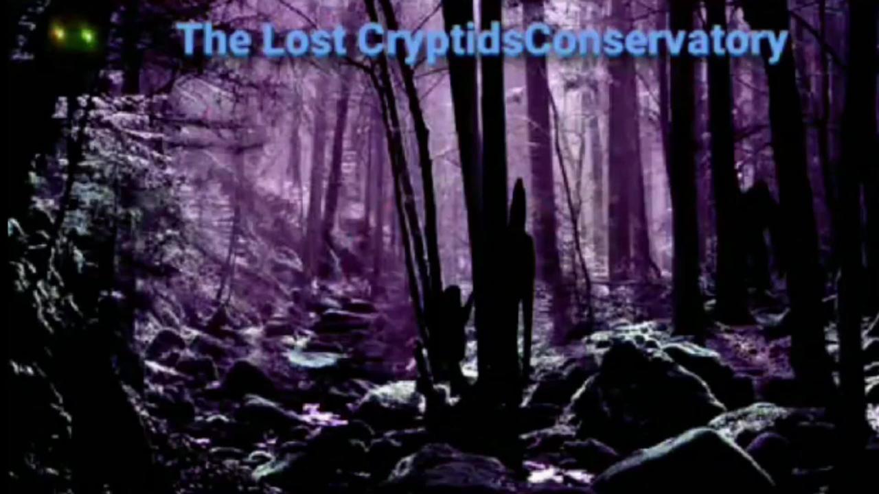 The Lost Cryptids Conservatory Late Show: Show us what you got