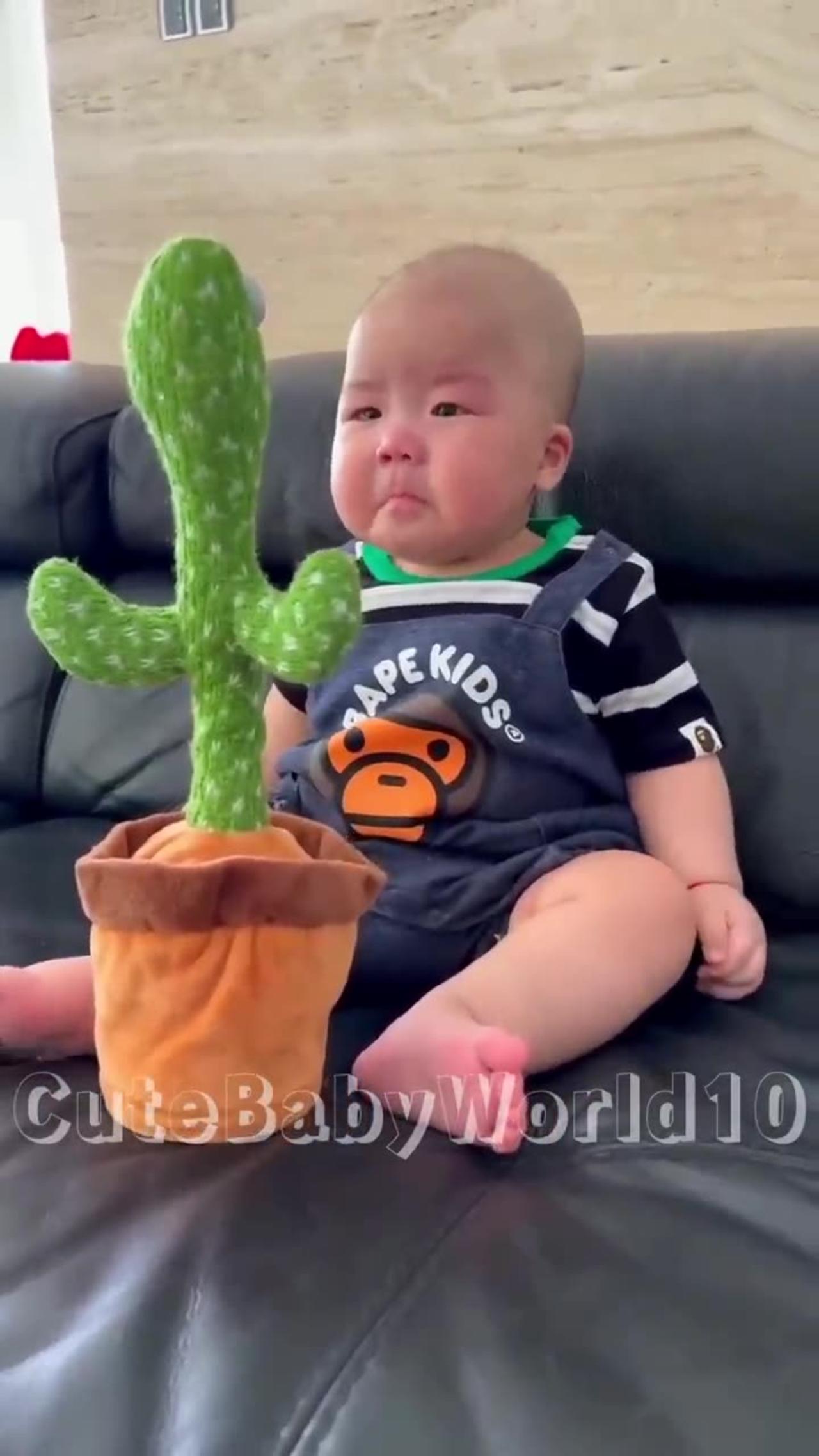 Cute Babies Playing with Dancing Cactus (Hilarious) Cute Baby Funny Videos
