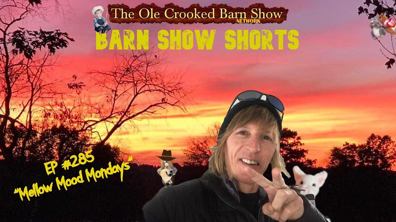 “Barn Show Shorts " Ep. #285 “Mellow Mood Mondays”