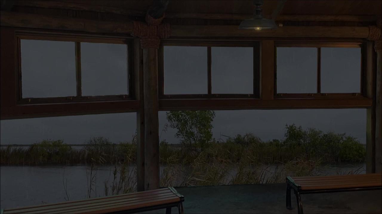 Goodbye Stress to Sleep Instantly with Heavy Rain & Thunder on Wooden Roof in Rainforest at Night