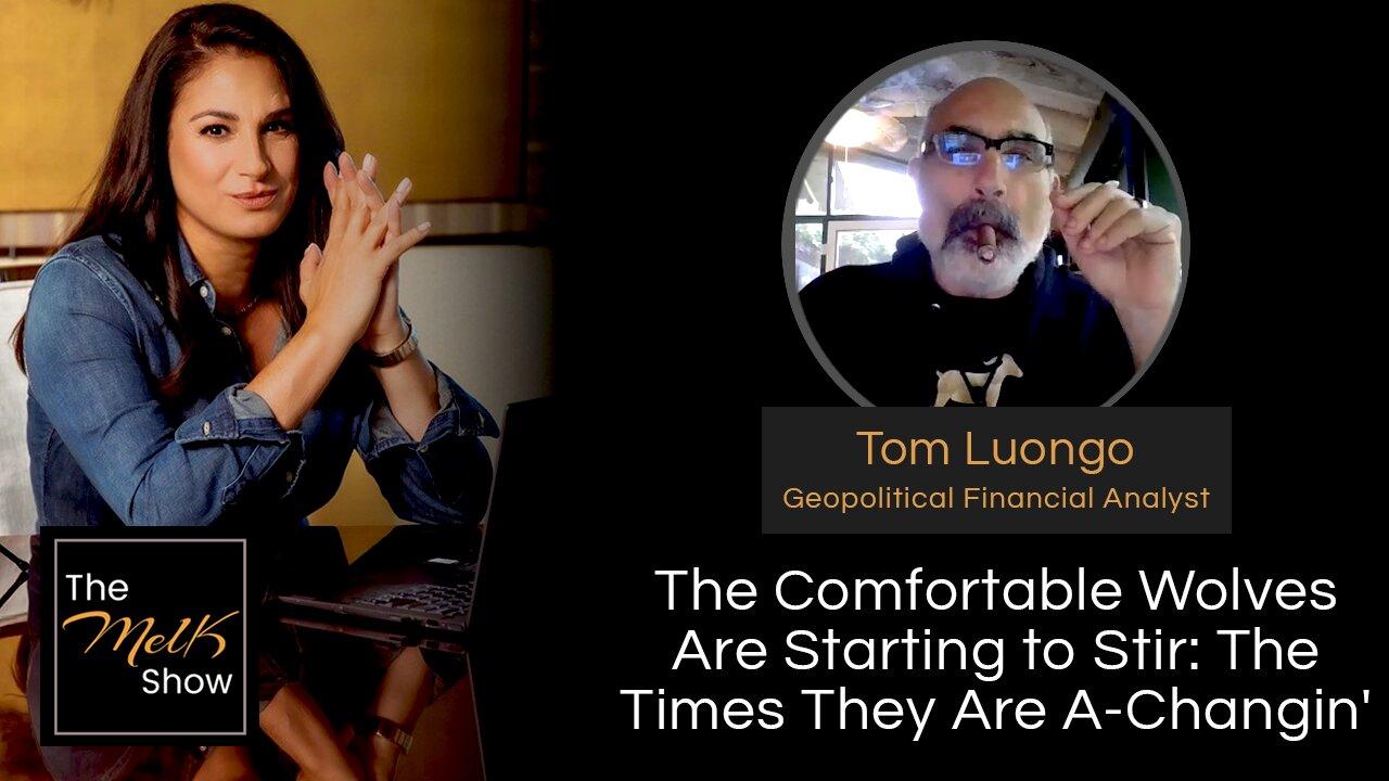 Mel K & Tom Luongo | The Comfortable Wolves Are Starting to Stir: The Times They Are A-Changin'