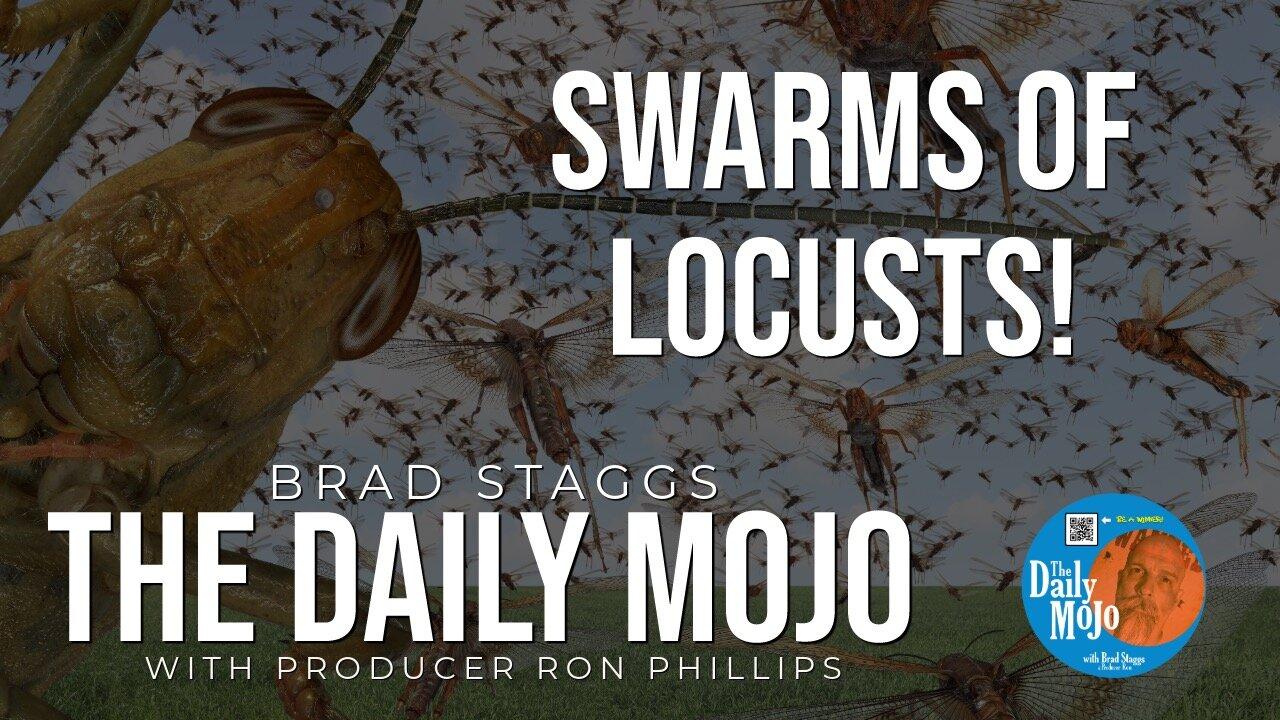 LIVE: Swarms Of Locusts! - The Daily Mojo