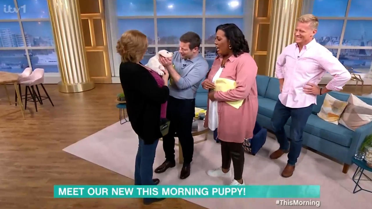 Alison Hammond introduces This Morning's labrador autism assistant puppy