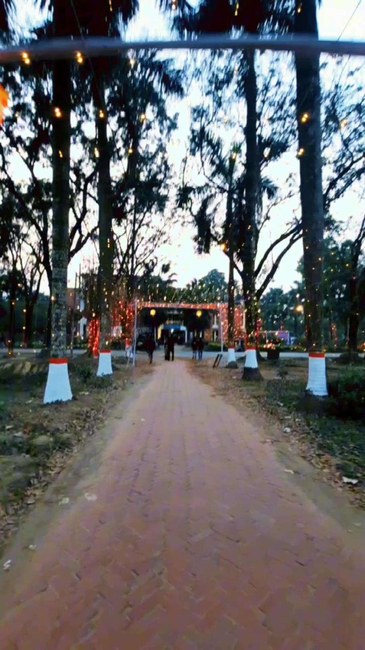 Beautiful Road in Jahangirnagar University ✨ Raw Clips #rawclips #halllife #ju